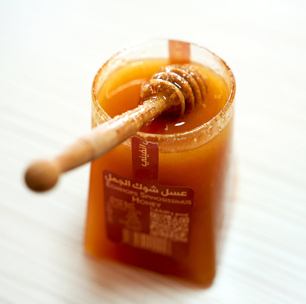 عسل شوك الجمل